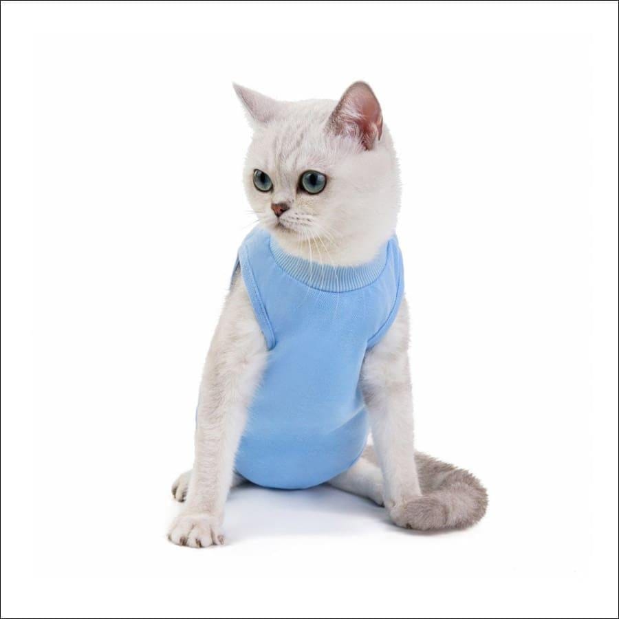 After Spay, Neuter or Injury Pet Surgical Recovery Suit $10.00